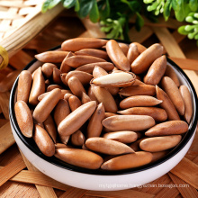 Low Price Chinese Dried Fruit Pine Nuts Kernel For Sale